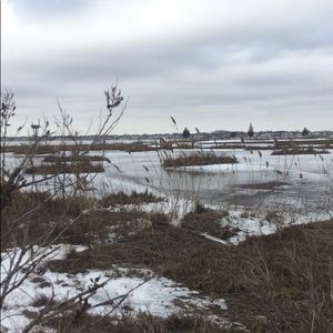 Meet your Posher, Allyson